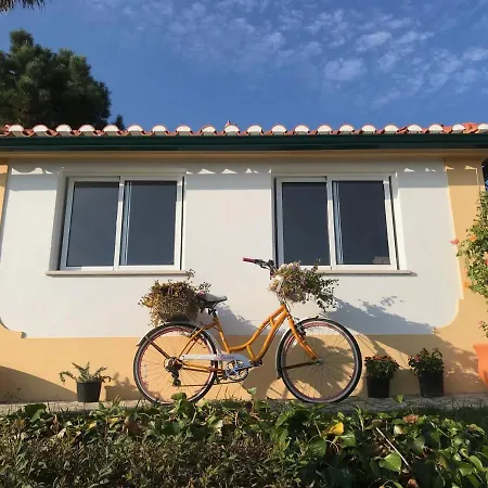 Couette-café Vida-vi, And