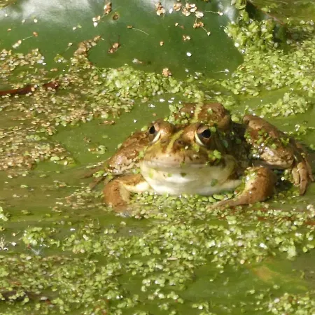 Bed & Breakfast Vida-vi, And Carvalhal Bemfeito