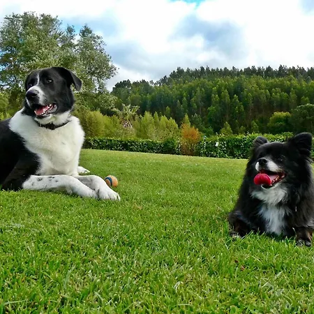 Couette-café Vida-vi, And 4*