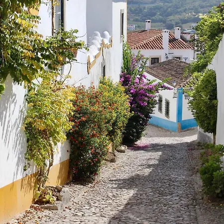 Vida-vi, And Santa Catarina (Leiria)