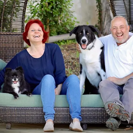 Vida-vi, And Carvalhal Bemfeito