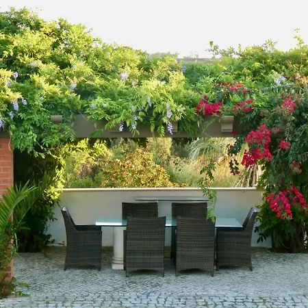 Vida-vi, And Отель типа 