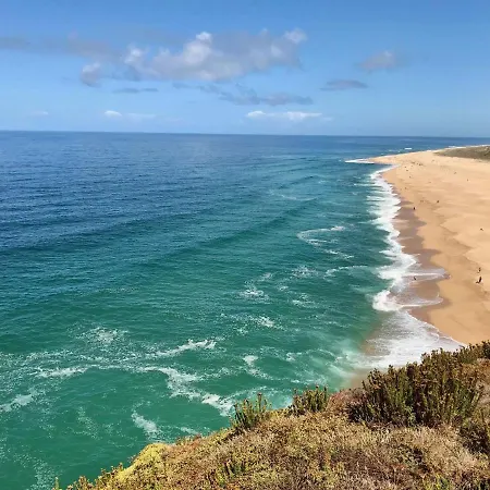 Vida-vi, And Отель типа 