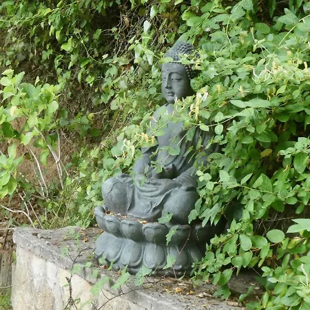 Vida-vi, And Bed & Breakfast