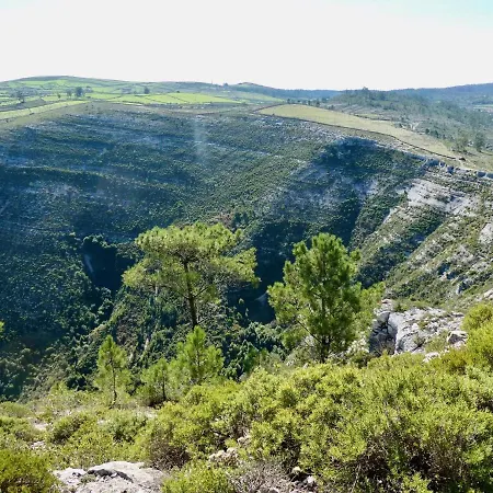 Vida-vi, And Couette-café