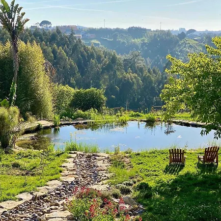 Vida-vi, And 4* Carvalhal Bemfeito