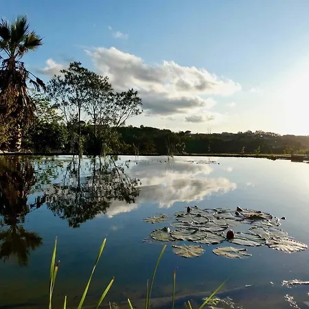 Vida-vi, And 4* Carvalhal Bemfeito