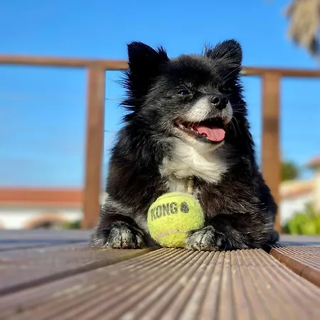 Couette-café Vida-vi, And 4*