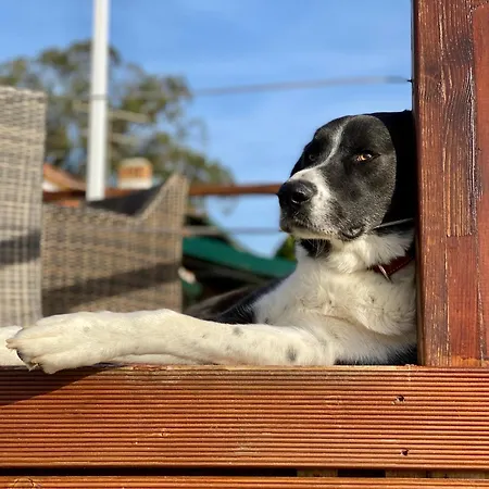 Vida-vi, And Отель типа 