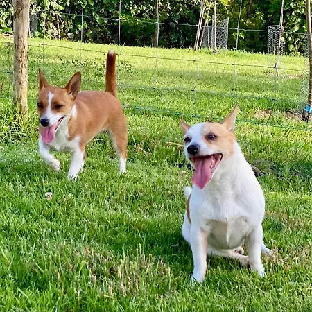 Vida-vi, And Couette-café