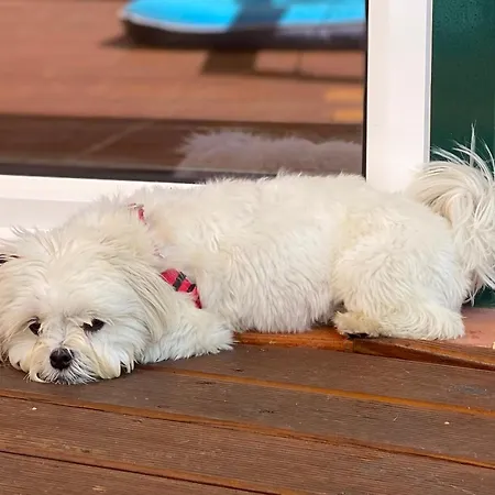 Vida-vi, And Отель типа 