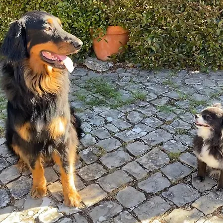 Couette-café Vida-vi, And Carvalhal Bemfeito