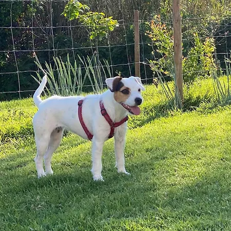 Vida-vi, And Отель типа 