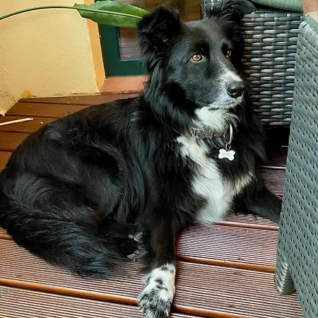 Vida-vi, And 4* Carvalhal Bemfeito