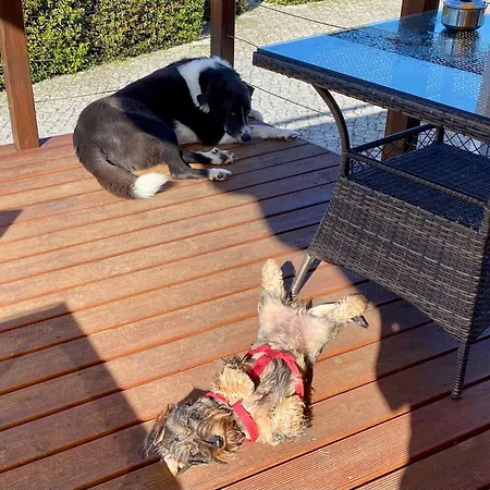 Bed & Breakfast Vida-vi, And Carvalhal Bemfeito