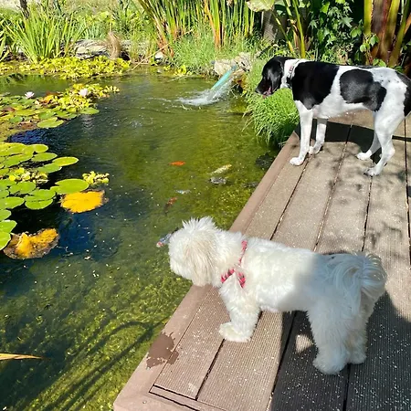 Vida-vi, And Couette-café