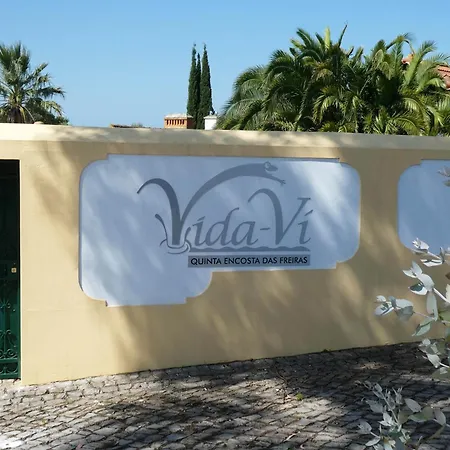 Panzió Vida-vi, And Santa Catarina